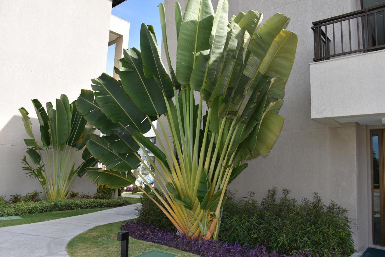 Boutique Ecolife Apartment Pôrto das Galinhas Екстериор снимка